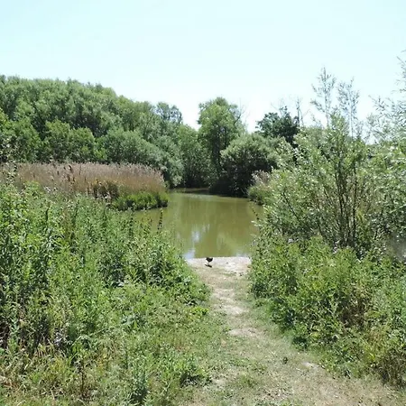 Florivan Comfortable Semesterbostad Oostende