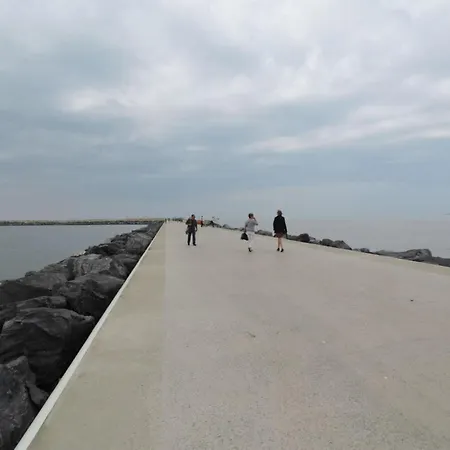 Florivan Comfortable *