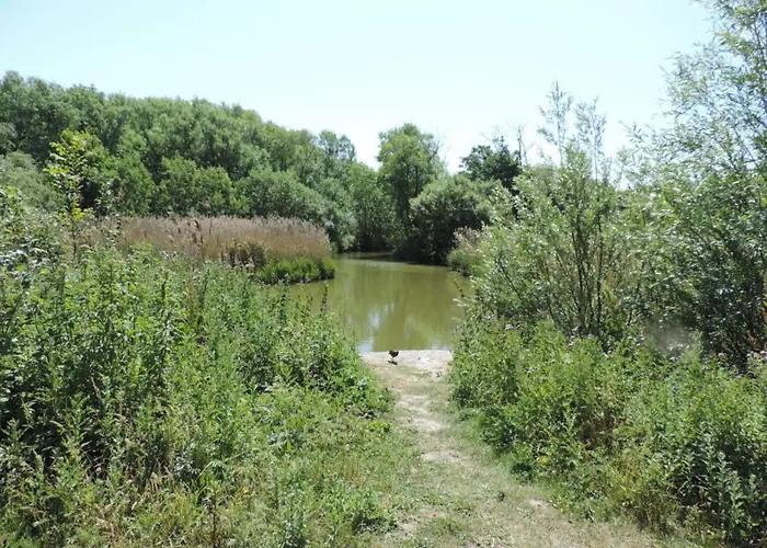 Dom wakacyjny Florivan Comfortable *